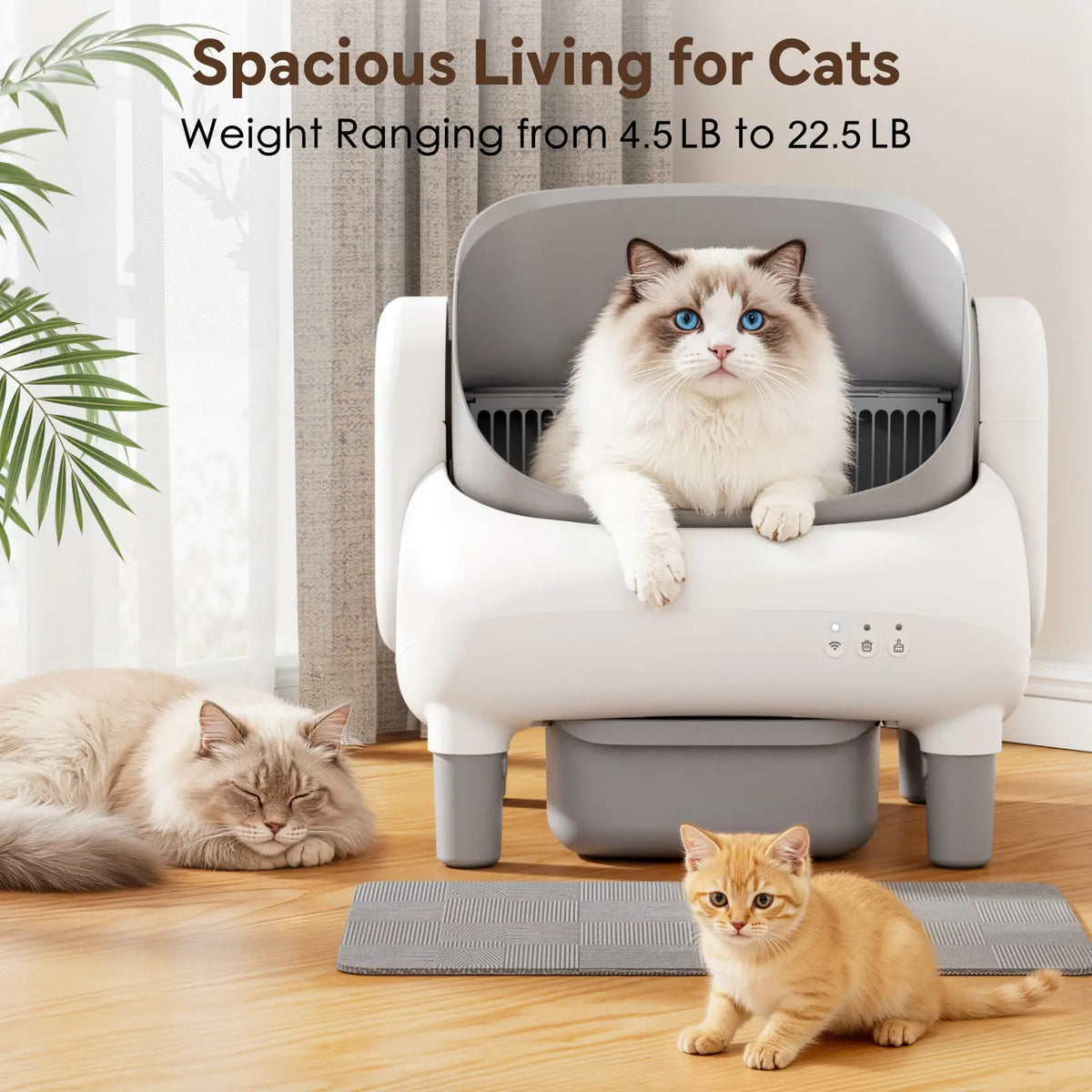 FUMOI Automatic Self-Cleaning Litter Box for Multi-Cat Homes